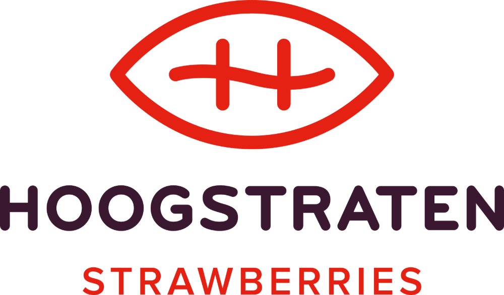Hoogstraten Strawberries